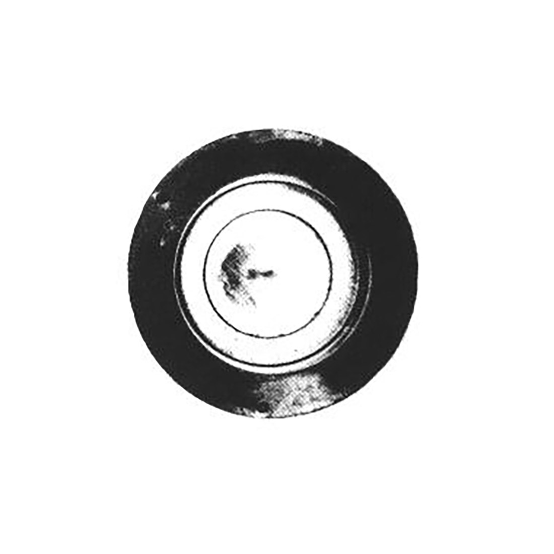 SP.OTT.FOR.LUC.TIPO IGNIS F. R. - L2534 - immagine 1